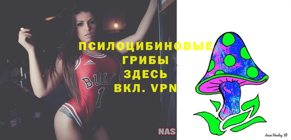 a pvp Новокубанск