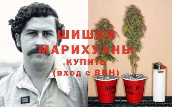 a pvp Новокубанск