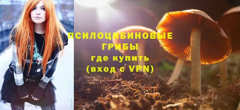 Псилоцибиновые грибы Psilocybine cubensis  kraken маркетплейс  Аткарск 